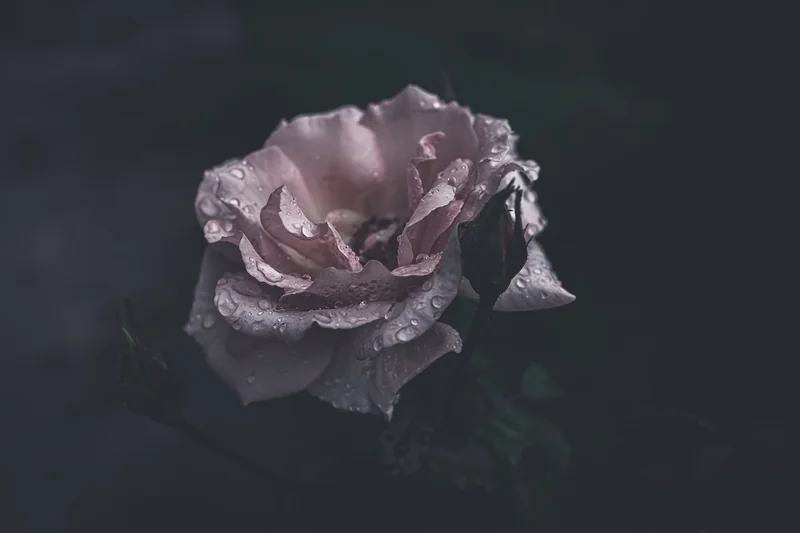 은퇴 후 돈 걱정 줄이는 법, 작은 변화로 큰 차이를 만드는 현실 노하우