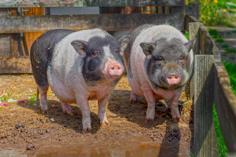 복지 프로그램 영화관람 신청법까지 설명!